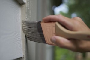 Exterior Brush