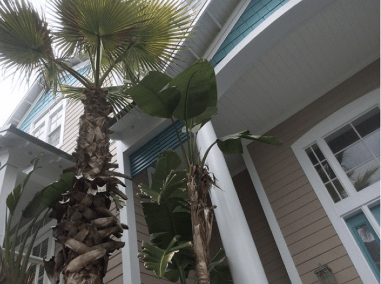 The Perfect Exterior Colors for Your Jacksonville FL Home The