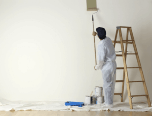 Great Professional Painting Company